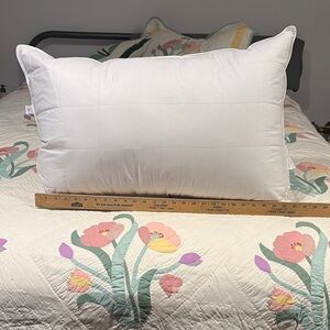 Smart Silk Asthma and Allergy friendly Silk and Cotton Queen Size Pillow  #104